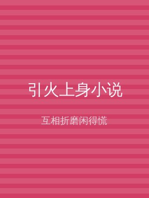 引火上身小说