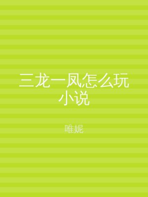 三龙一凤怎么玩小说