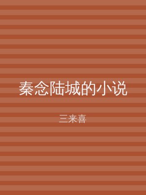 秦念陆城的小说