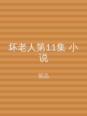 坏老人第11集 小说
