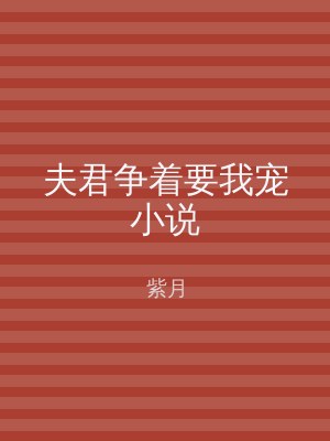 夫君争着要我宠小说