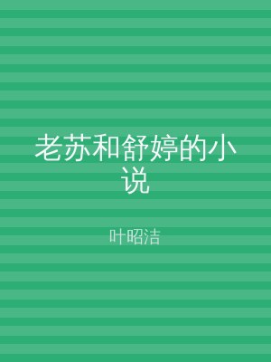 老苏和舒婷的小说