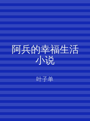 阿兵的幸福生活小说