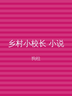 乡村小校长 小说