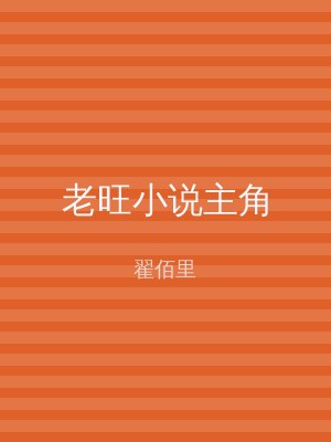 老旺小说主角