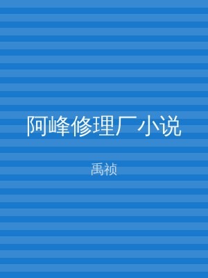 阿峰修理厂小说