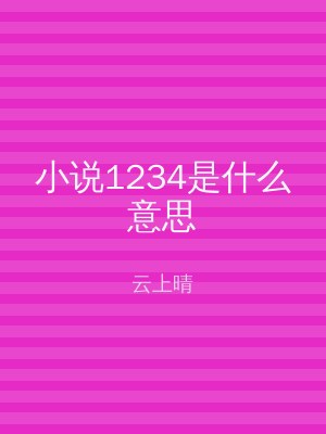 小说1234是什么意思