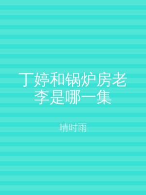 丁婷和锅炉房老李是哪一集