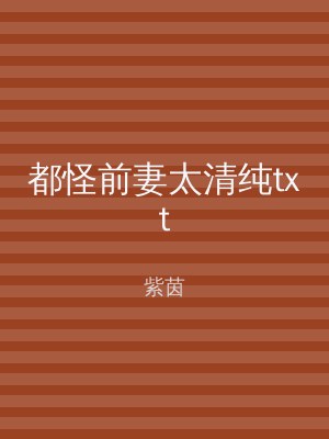 都怪前妻太清纯txt