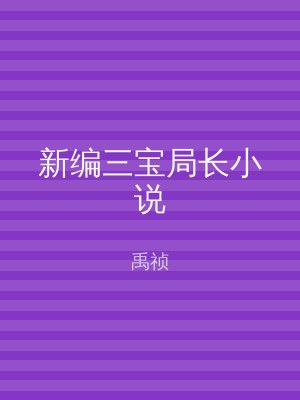新编三宝局长小说