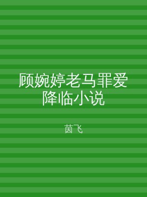 顾婉婷老马罪爱降临小说