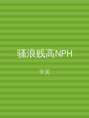 骚浪贱高NPH
