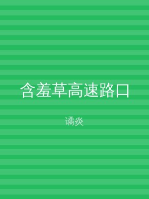 含羞草高速路口