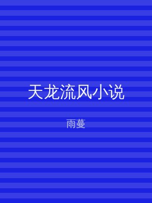 天龙流风小说
