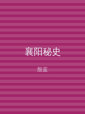 襄阳秘史