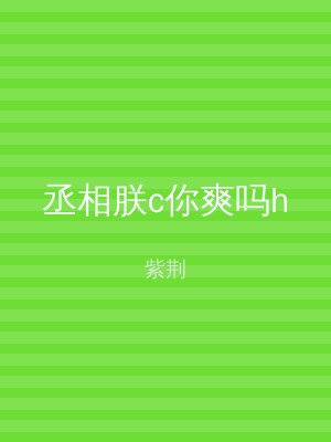 丞相朕c你爽吗h