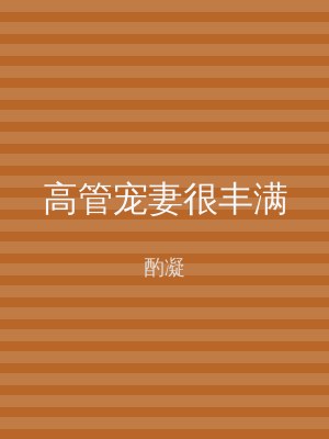 高管宠妻很丰满