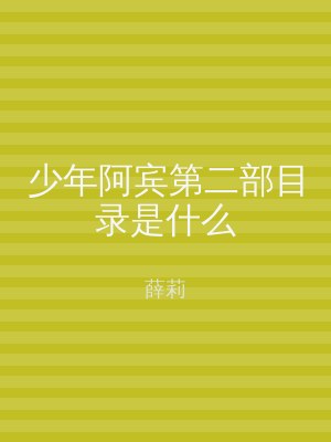 少年阿宾第二部目录是什么