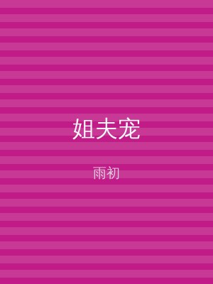 姐夫宠