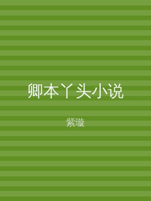 卿本丫头小说