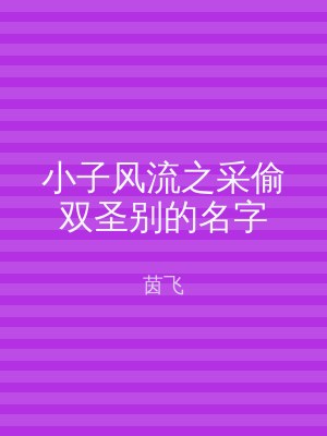 小子风流之采偷双圣别的名字