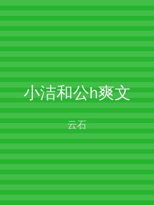小洁和公h爽文