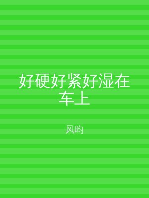 好硬好紧好湿在车上