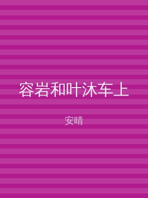 容岩和叶沐车上