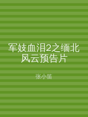 军妓血泪2之缅北风云预告片