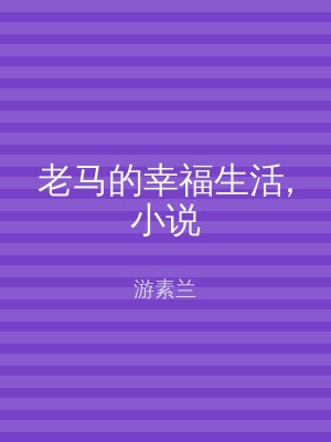 老马的幸福生活,小说