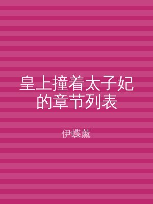 皇上撞着太子妃的章节列表