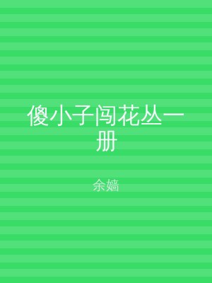傻小子闯花丛一册