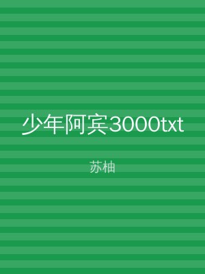 少年阿宾3000txt