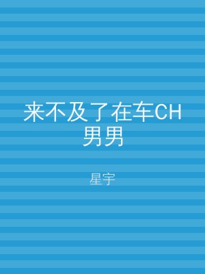 来不及了在车CH男男