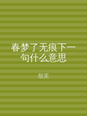 春梦了无痕下一句什么意思