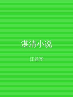 湛清小说