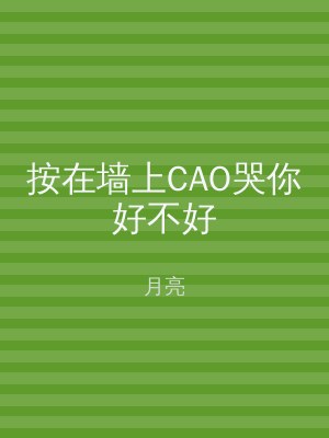 按在墙上CAO哭你好不好