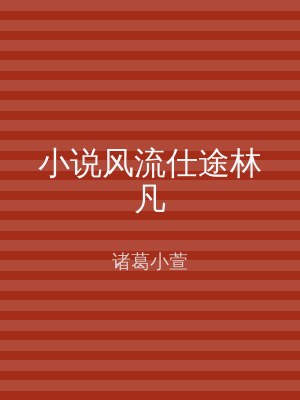 小说风流仕途林凡