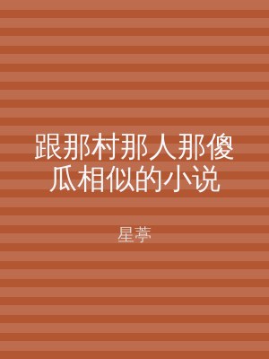跟那村那人那傻瓜相似的小说