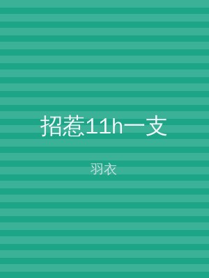 招惹11h一支