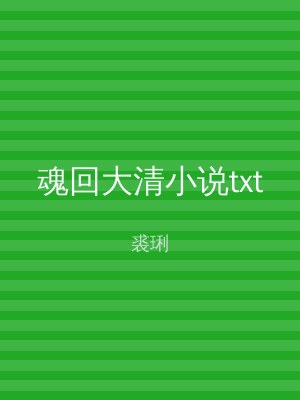 魂回大清小说txt