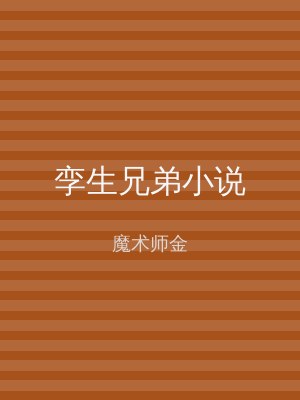 孪生兄弟小说