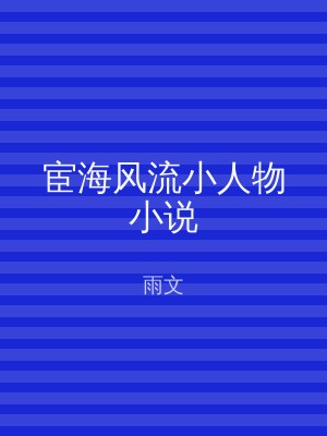 宦海风流小人物小说