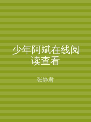 少年阿斌在线阅读查看
