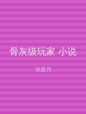 骨灰级玩家 小说