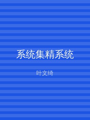 系统集精系统