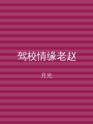 驾校情缘老赵