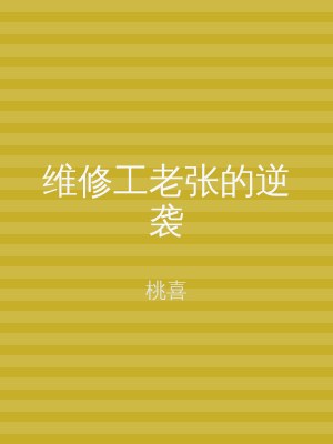 维修工老张的逆袭