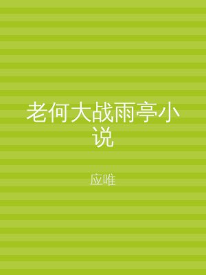 老何大战雨亭小说