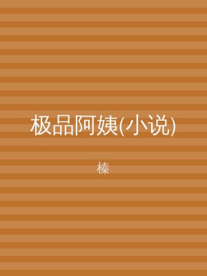 极品阿姨(小说)